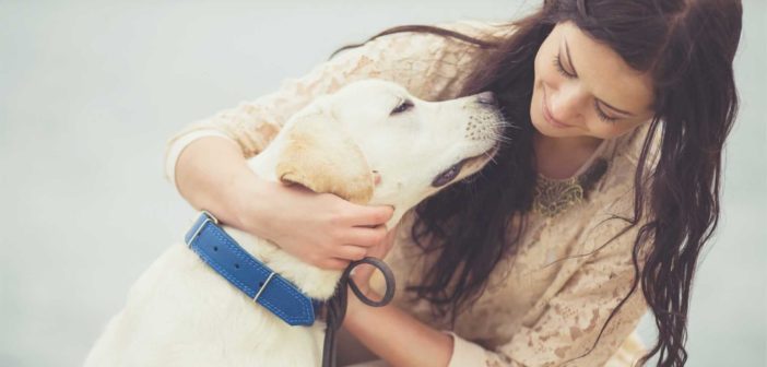 Frauchen mit Ihrem Hund (Foto hteam shutterstock)