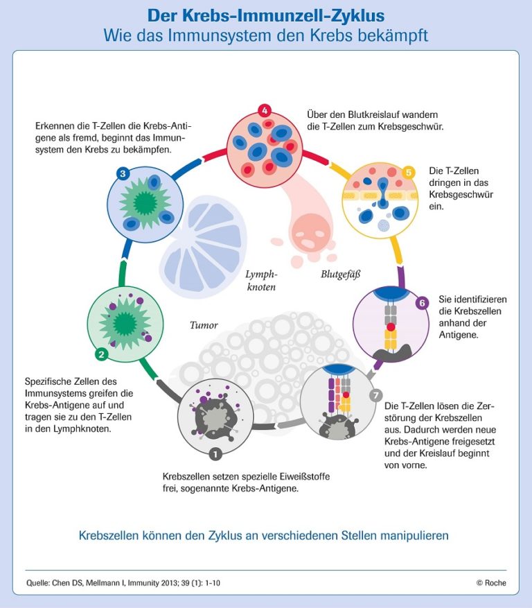 Die Krebsimmuntherapie - Aktueller Stand LZ Gesundheitsreport