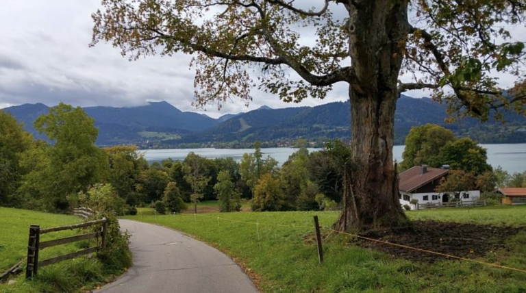 Radtouren Bayern Natur & Seen