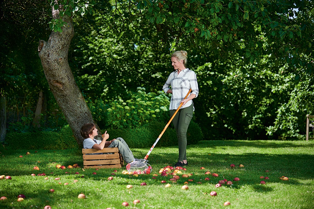 Familie beim Aufsammeln von Obst im Garten