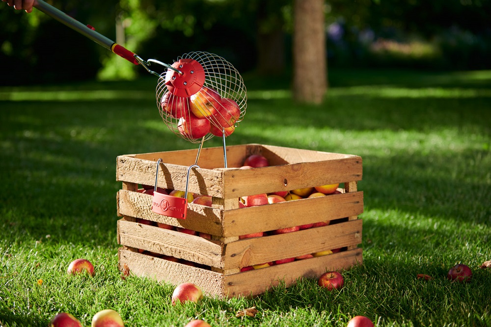 Erntehelfer zum Ernten von Obst/Äpfeln