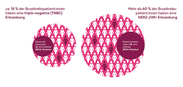 Da die meisten Brusttumore Hormonrezeptor-positiv und HER2-negativ sind, treten hier erbliche BRCA-Mutationen absolut gesehen am häufigsten auf. 